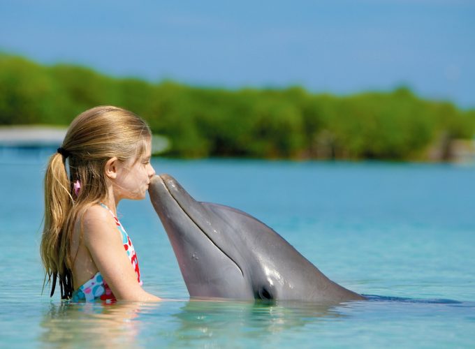 Wallpaper Girl and dolphin, ocean, Maldives, Animals 4725518704
